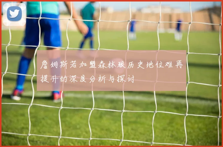 詹姆斯若加盟森林狼历史地位难再提升的深度分析与探讨